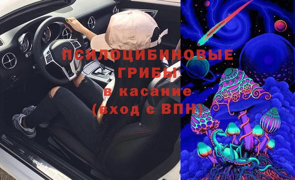 прущие крисы Балахна