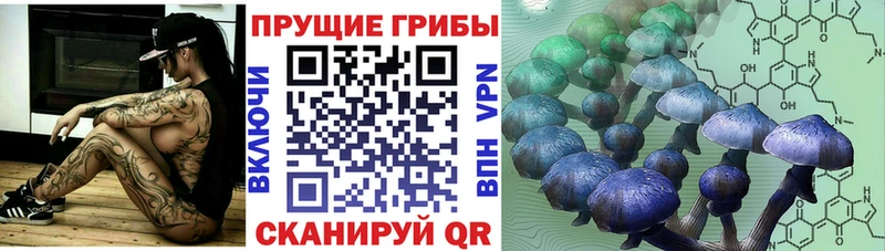 Псилоцибиновые грибы прущие грибы  хочу   Мамоново 
